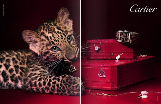 ювелирные украшения cartier